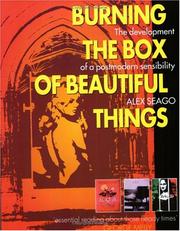 Burning the box of beautiful things : the development of a postmodern sensibility / Alex Seago.