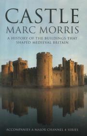 Castle : a history of the buildings that shaped medieval Britain / Marc Morris.