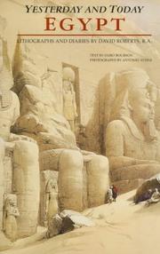 Egypt : yesterday and today / lithographs by David Roberts ; [text by Fabio Bourbon ; photographs by Antonio Attini ; graphic design by Ann a Galliani ; translation by A.B.A., Milano]