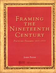 Payne, John (John W.), 1953- Framing the nineteenth century :