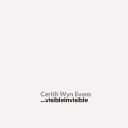 Cerith Wyn Evans : visibleinvisible / with essays by Daniel Birnbaum and Octavio Zaya.